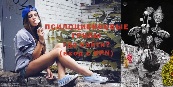 шишки Волоколамск