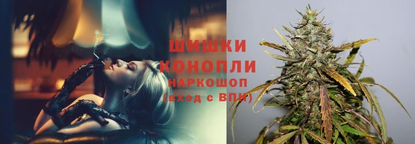 шишки Волоколамск