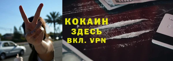 мяу мяу мука Вязники