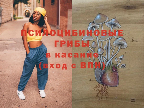 шишки Волоколамск