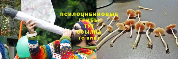 Альфа ПВП Вяземский