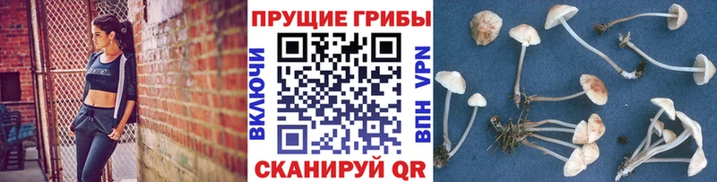 кракен маркетплейс  Навашино  Галлюциногенные грибы мицелий 